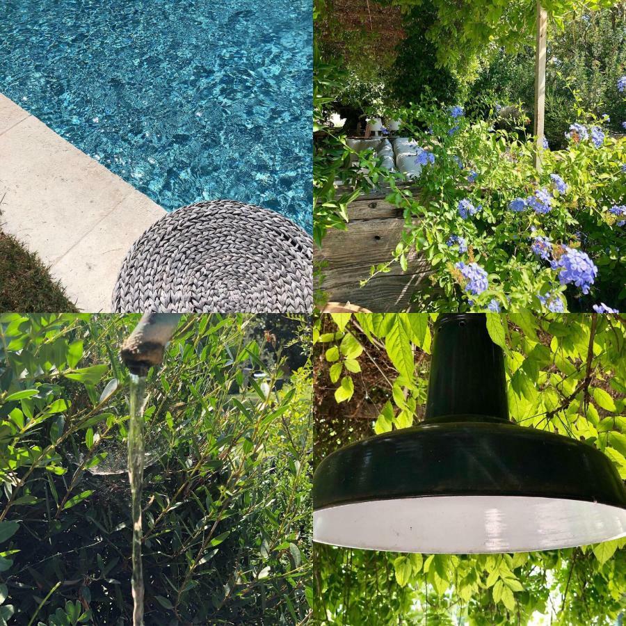 B&B Mas De Caustes Saint-Rémy-de-Provence Екстериор снимка