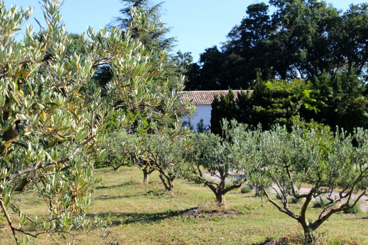 B&B Mas De Caustes Saint-Rémy-de-Provence Екстериор снимка