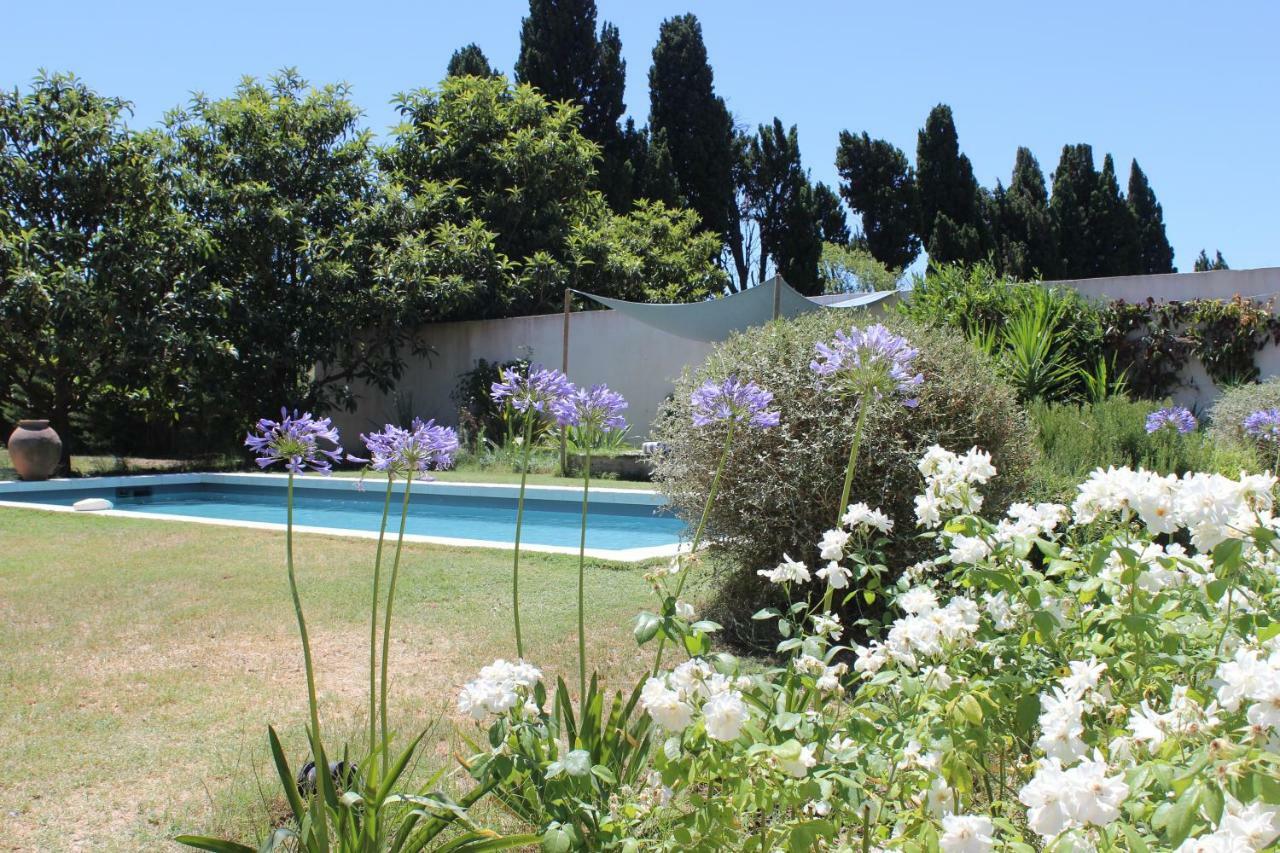 B&B Mas De Caustes Saint-Rémy-de-Provence Екстериор снимка