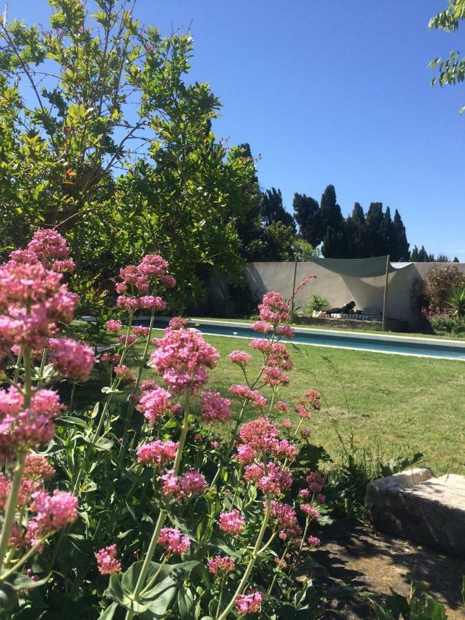 B&B Mas De Caustes Saint-Rémy-de-Provence Екстериор снимка