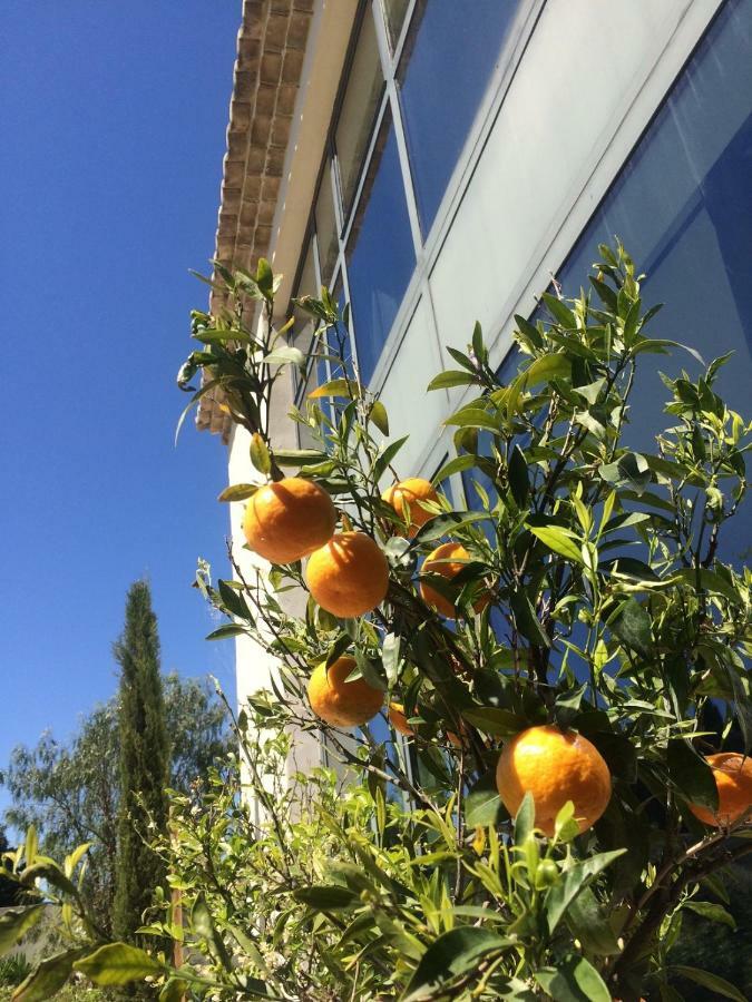 B&B Mas De Caustes Saint-Rémy-de-Provence Екстериор снимка