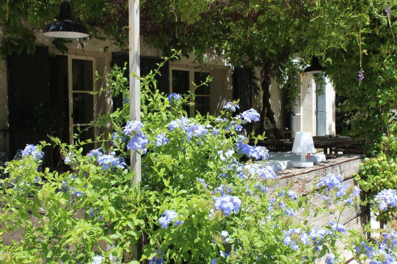 B&B Mas De Caustes Saint-Rémy-de-Provence Екстериор снимка