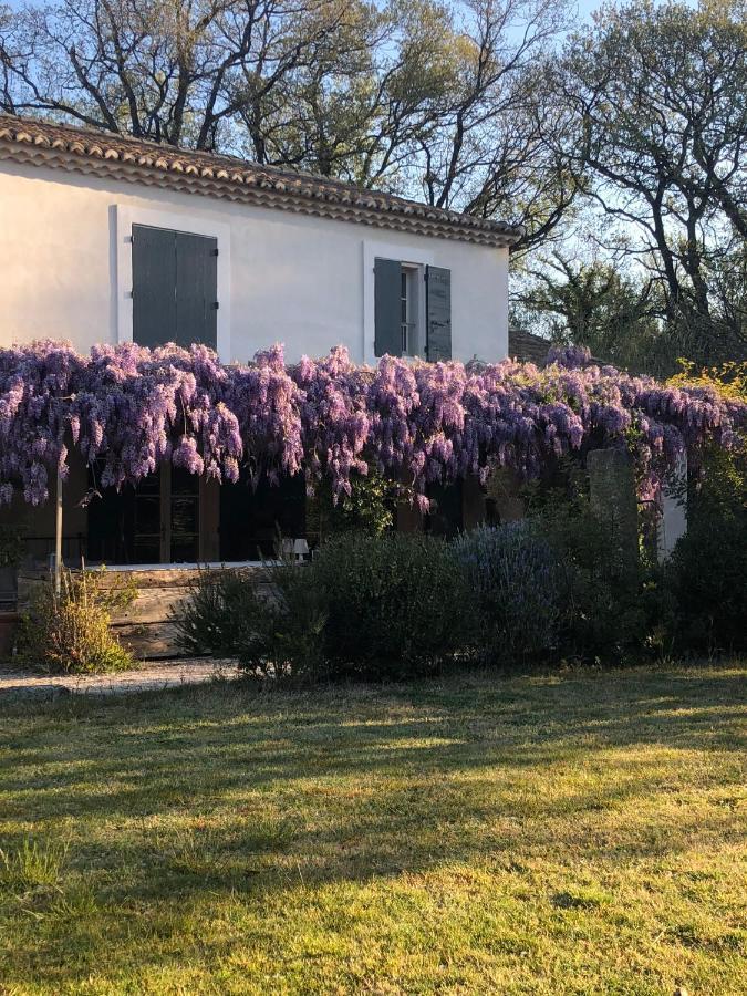 B&B Mas De Caustes Saint-Rémy-de-Provence Екстериор снимка
